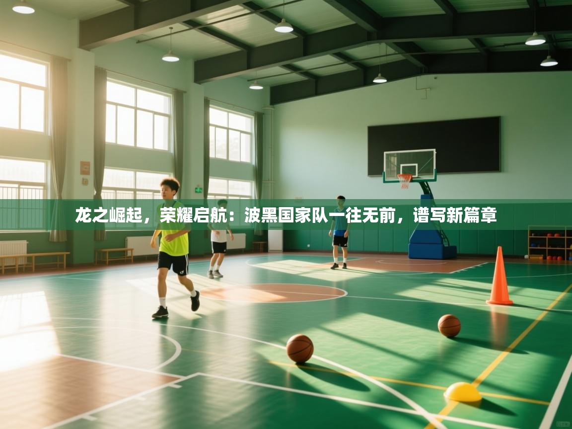 龙之崛起，荣耀启航：波黑国家队一往无前，谱写新篇章  第2张